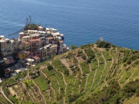 Appartamento Vacanze "Borgo Cinque Terre" Volastra Manarola Экстерьер фото