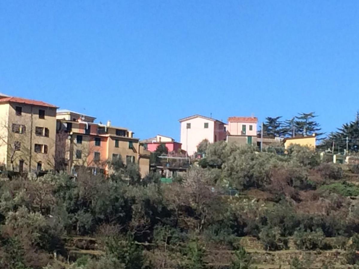 Appartamento Vacanze "Borgo Cinque Terre" Volastra Manarola Экстерьер фото