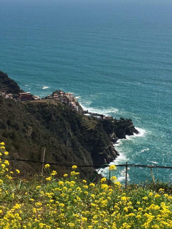 Appartamento Vacanze "Borgo Cinque Terre" Volastra Manarola Экстерьер фото